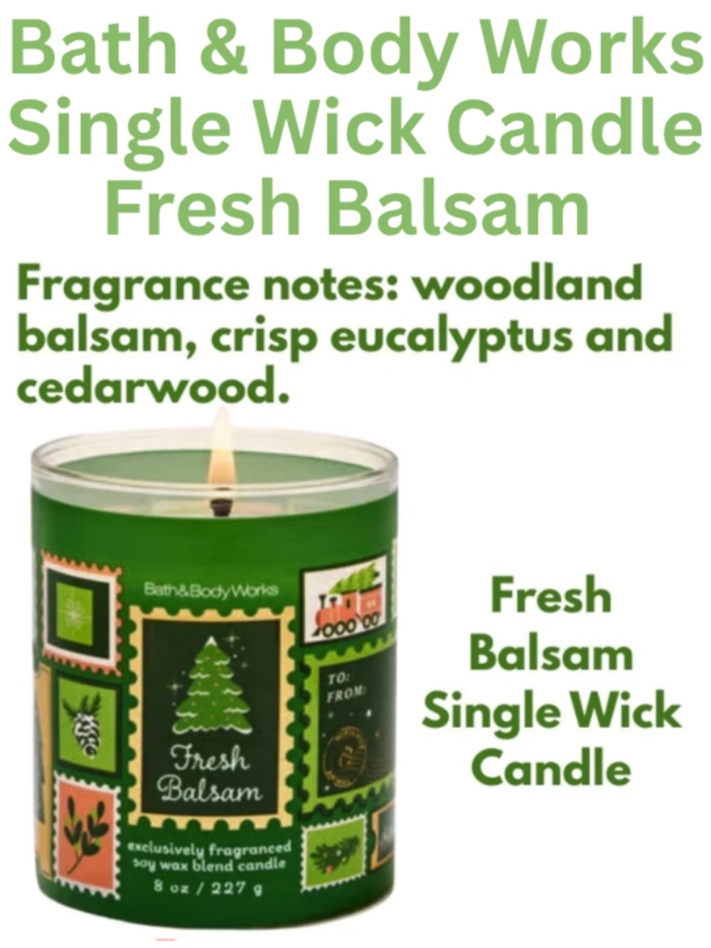 Bath & Body Works Single Wick Candle - Fresh Balsam - Like a walk in the woods